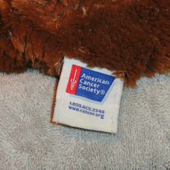 Daffodil Days American Cancer Soc Plush Brown Boyds Bear 13 in Tall Stuffed Toy - Picture 8 of 11